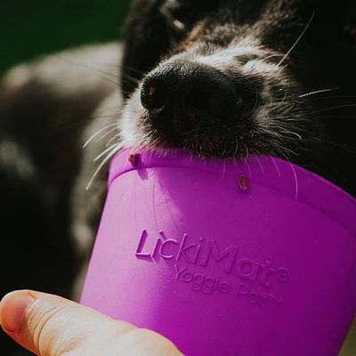 Lickimat Yoggie Pot - Jouet à remplir pour chiens
