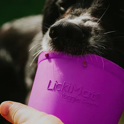 Lickimat Yoggie Pot - Jouet à remplir pour chiens
