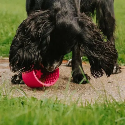 Lickimat Yoggie Pot - Jouet à remplir pour chiens