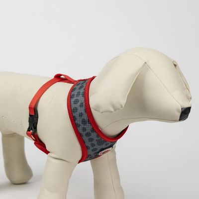 Minnie Harnais réversible pour chien en polyester