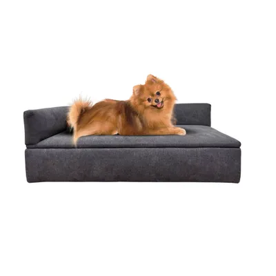 WELLHOME Canapé-lit avec base rembourrée en fibre de bois WELLHOME Canapé-lit avec base rembourrée en fibre de bois