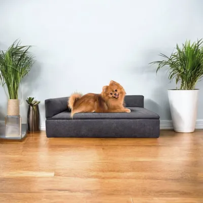 WELLHOME Canapé-lit avec base rembourrée en fibre de bois WELLHOME Canapé-lit avec base rembourrée en fibre de bois