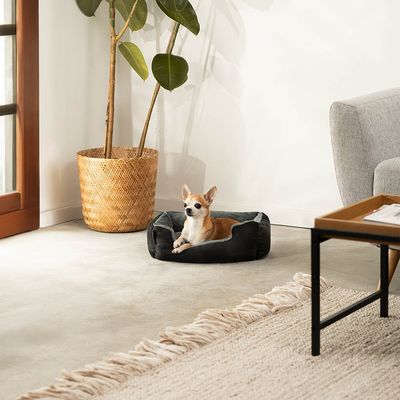 lionto weiches Hundebett mit niedrigem Einstieg und Wendekissen