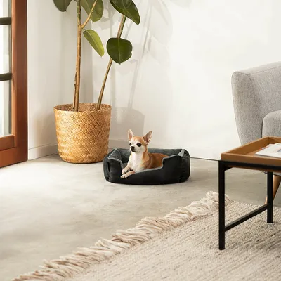lionto coussin chien doux avec entrée basse et coussin réversible lionto coussin chien doux avec entrée basse et coussin réversible