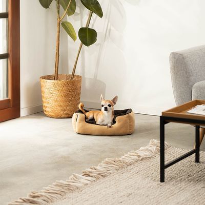 lionto weiches Hundebett mit niedrigem Einstieg und Wendekissen