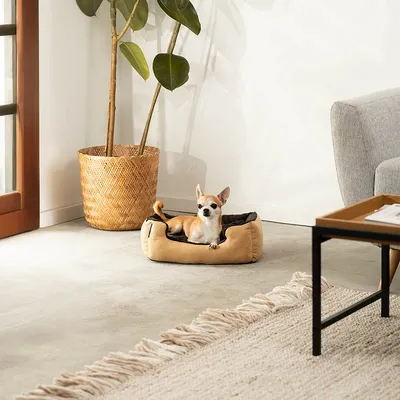 lionto coussin chien doux avec entrée basse et coussin réversible