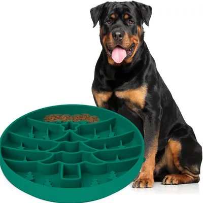 ZenPets Comedero para mascotas de alimentación lenta