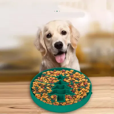 ZenPets Comedero para mascotas de alimentación lenta