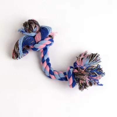 Stitch Mangeoire pour chien en polyester