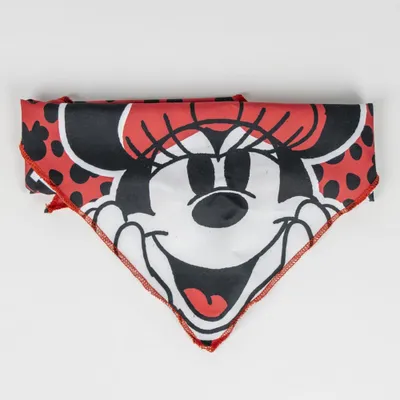 Minnie Mangeoire pour chien en polyester
