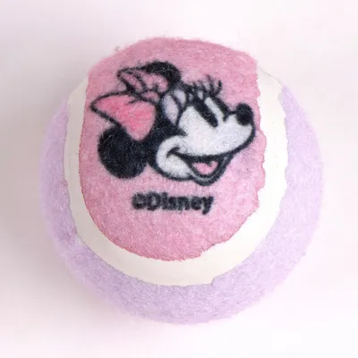 Ensemble pour animaux de compagnie avec jouet en polyester