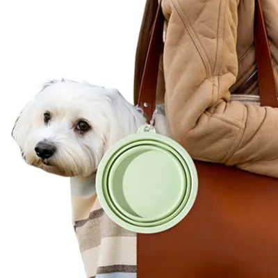 ZenPets Bol pliant macaron pour chiens