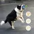 IntiMeg Interaktiver Ball für Katzen und Hunde – 360° IntiMeg Interaktiver Ball für Katzen und Hunde – 360°