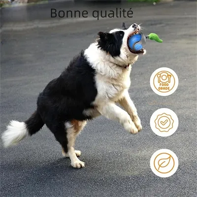 IntiMeg Interaktiver Ball für Katzen und Hunde – 360° IntiMeg Interaktiver Ball für Katzen und Hunde – 360°