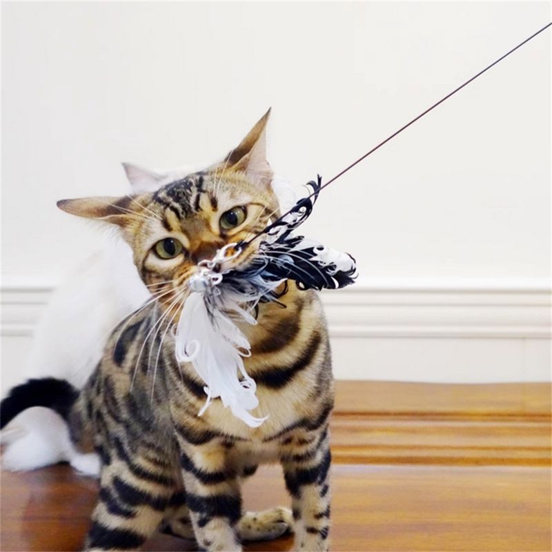 MCBOSON  Kit de bâtonnets pour chat avec manche en bois