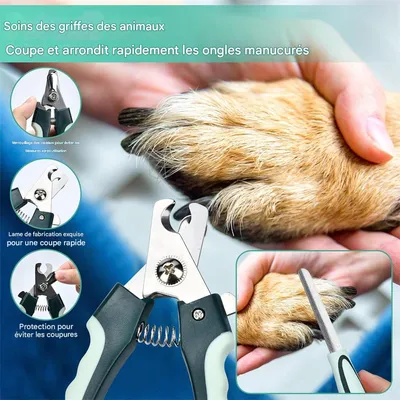 MCBOSON  Kit de toilette 8 pièces pour chien