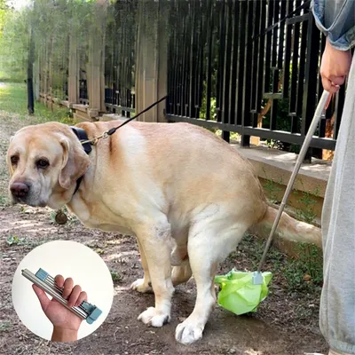 MCBOSON  Collecteur d'urine et récupérateur de déjections canines