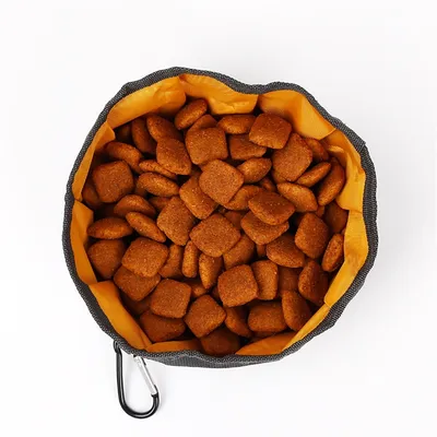 MCBOSON Gamelle de camping pour chien