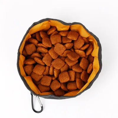 MCBOSON Gamelle de camping pour chien