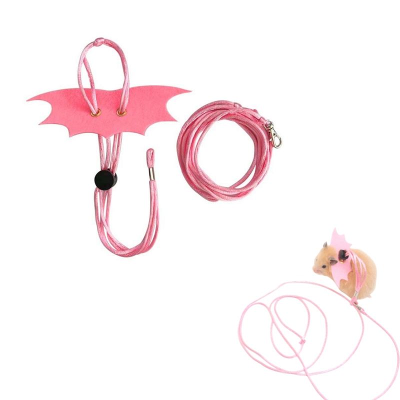 ZenPets Laisse pour hamster