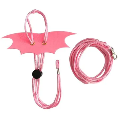 ZenPets Laisse pour hamster