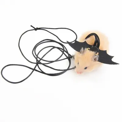 ZenPets Laisse pour hamster