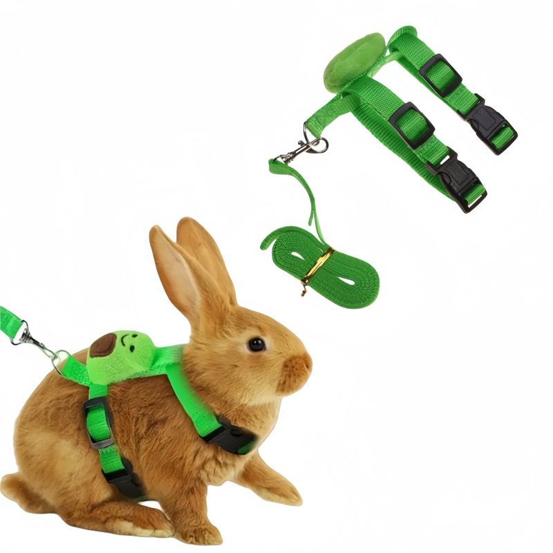 IntiMeg Harnais et laisse pour petits animaux