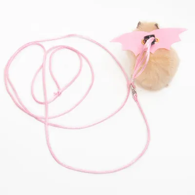 ZenPets Laisse pour hamster