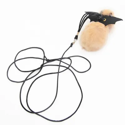 ZenPets Laisse pour hamster