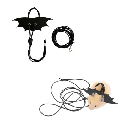 ZenPets Laisse pour hamster