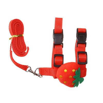 IntiMeg Harnais et laisse pour petits animaux