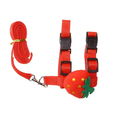 IntiMeg Harnais et laisse pour petits animaux