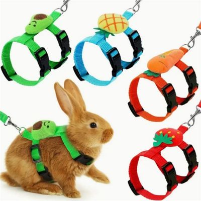IntiMeg Harnais et laisse pour petits animaux