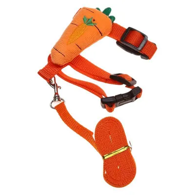 IntiMeg Harnais et laisse pour petits animaux