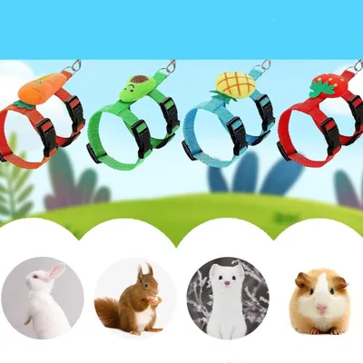 IntiMeg Harnais et laisse pour petits animaux