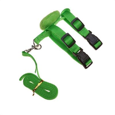 IntiMeg Harnais et laisse pour petits animaux