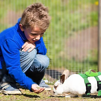 IntiMeg Harnais et laisse pour petits animaux
