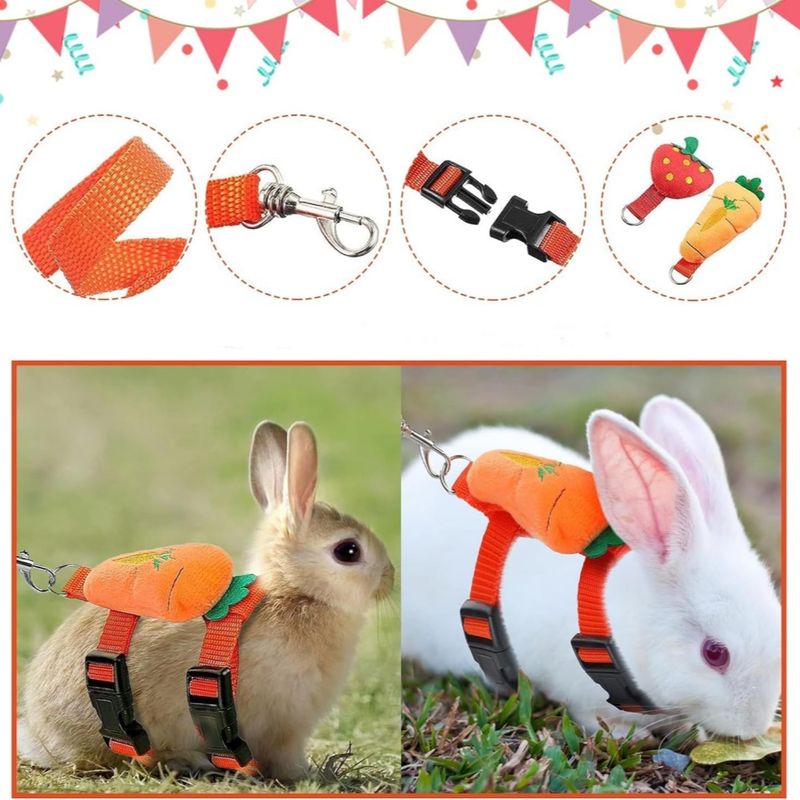IntiMeg Harnais et laisse pour petits animaux