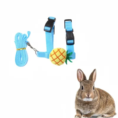 IntiMeg Harnais et laisse pour petits animaux