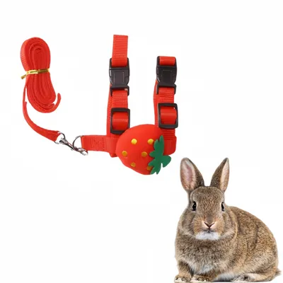 IntiMeg Harnais et laisse pour petits animaux IntiMeg Harnais et laisse pour petits animaux