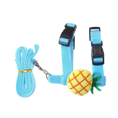 IntiMeg Harnais et laisse pour petits animaux