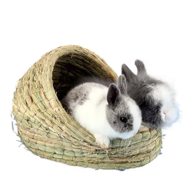 ZenPets Nid en paille pour petits animaux