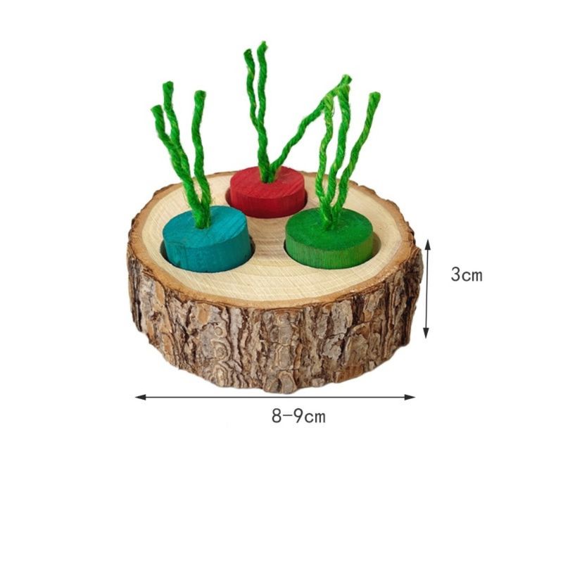 ZenPets Boîte à nourriture en bois pour rongeurs