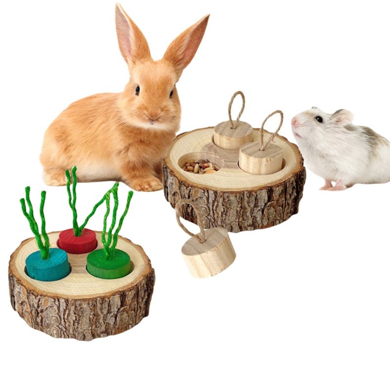 ZenPets Boîte à nourriture en bois pour rongeurs