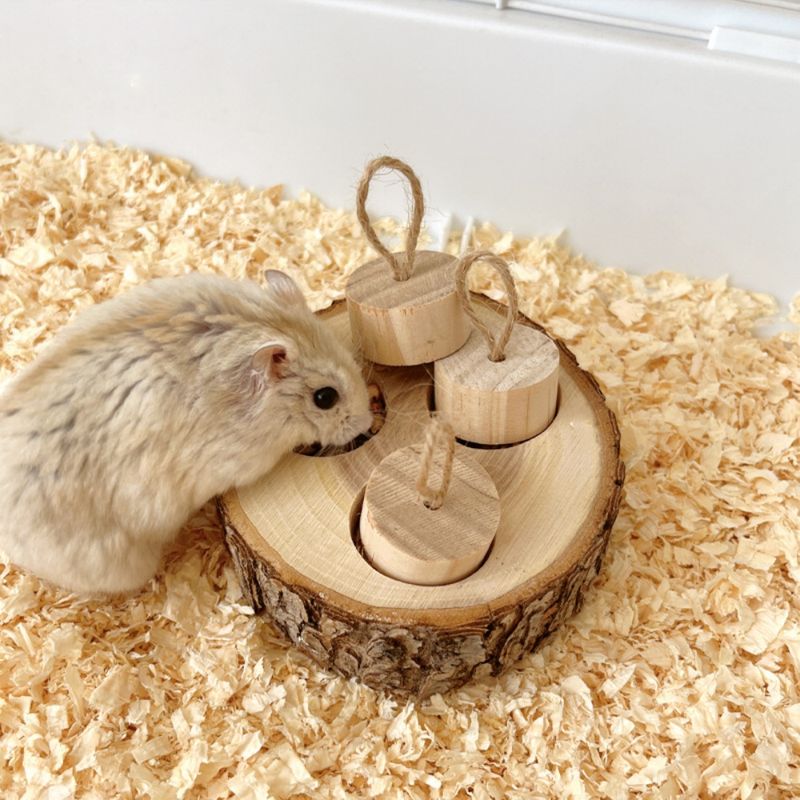 ZenPets Boîte à nourriture en bois pour rongeurs
