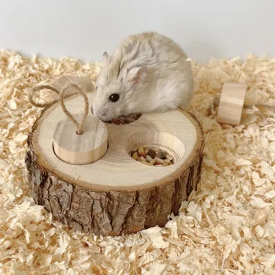 ZenPets Boîte à nourriture en bois pour rongeurs