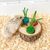 ZenPets Boîte à nourriture en bois pour rongeurs
