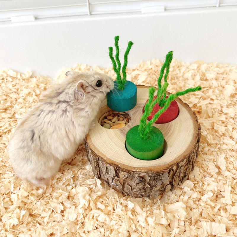ZenPets Boîte à nourriture en bois pour rongeurs