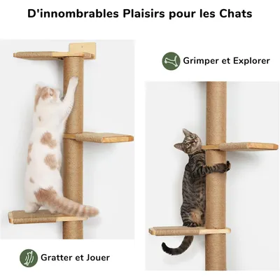 FUKUMARU Arbre à chat mural FUKUMARU Arbre à chat mural