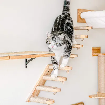 FUKUMARU  Étagère murale d'escalade pour chat